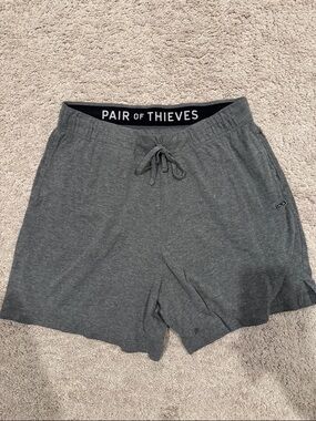 Pair of Thieves Men's Heather Gray Athletic Shorts